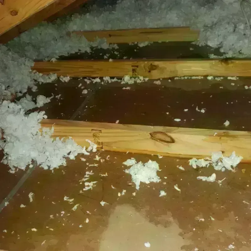 Attic Water Damage in Washington County, UT