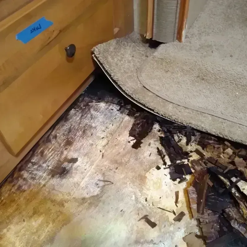 Wood Floor Water Damage in Washington County, UT